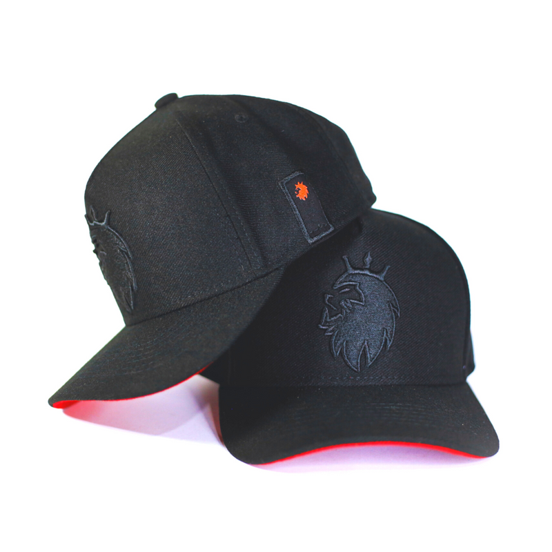 Boné Snapback Trucker Preto Judá